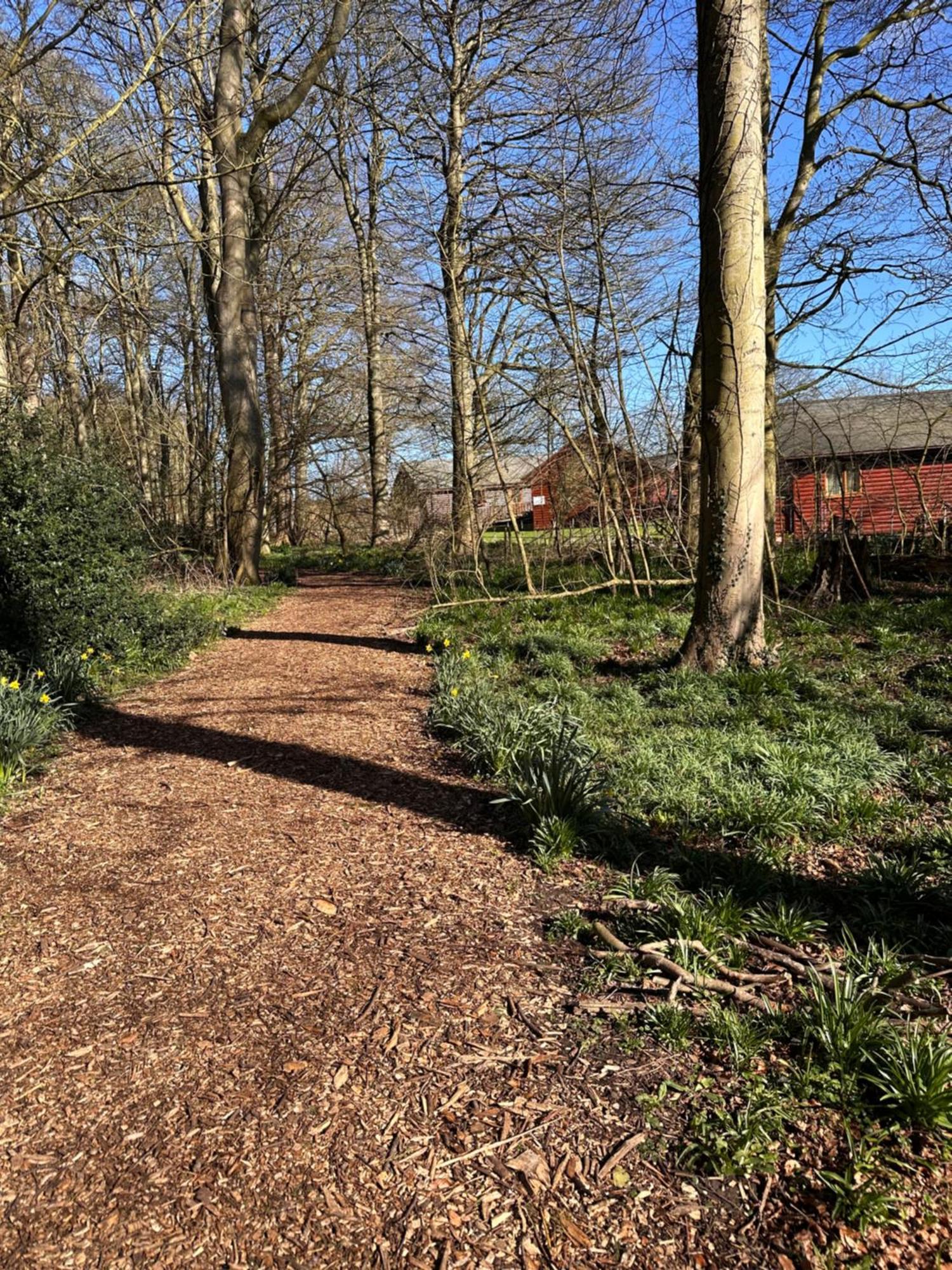 Chalet Max's Woodland
