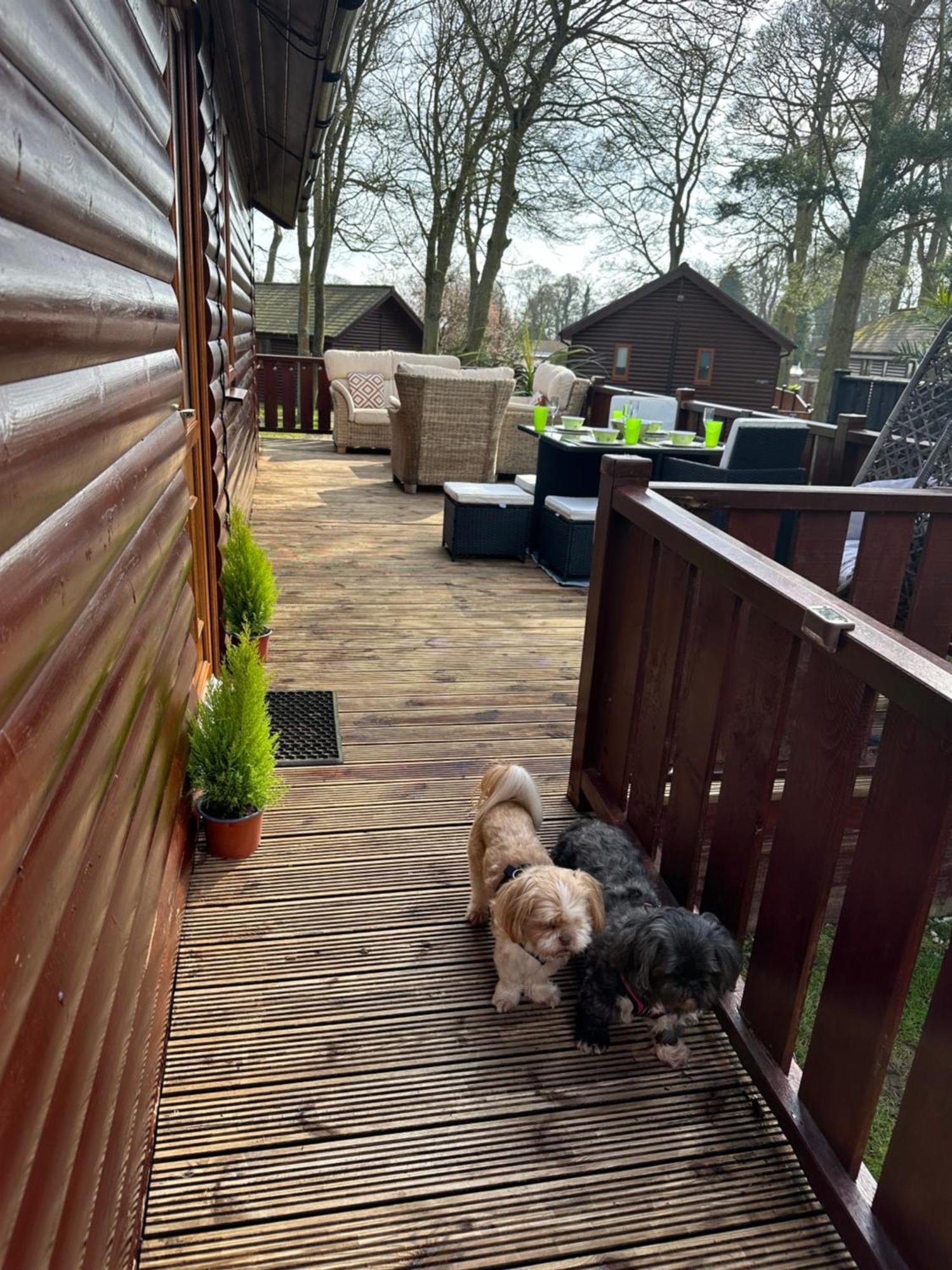 Max's Woodland